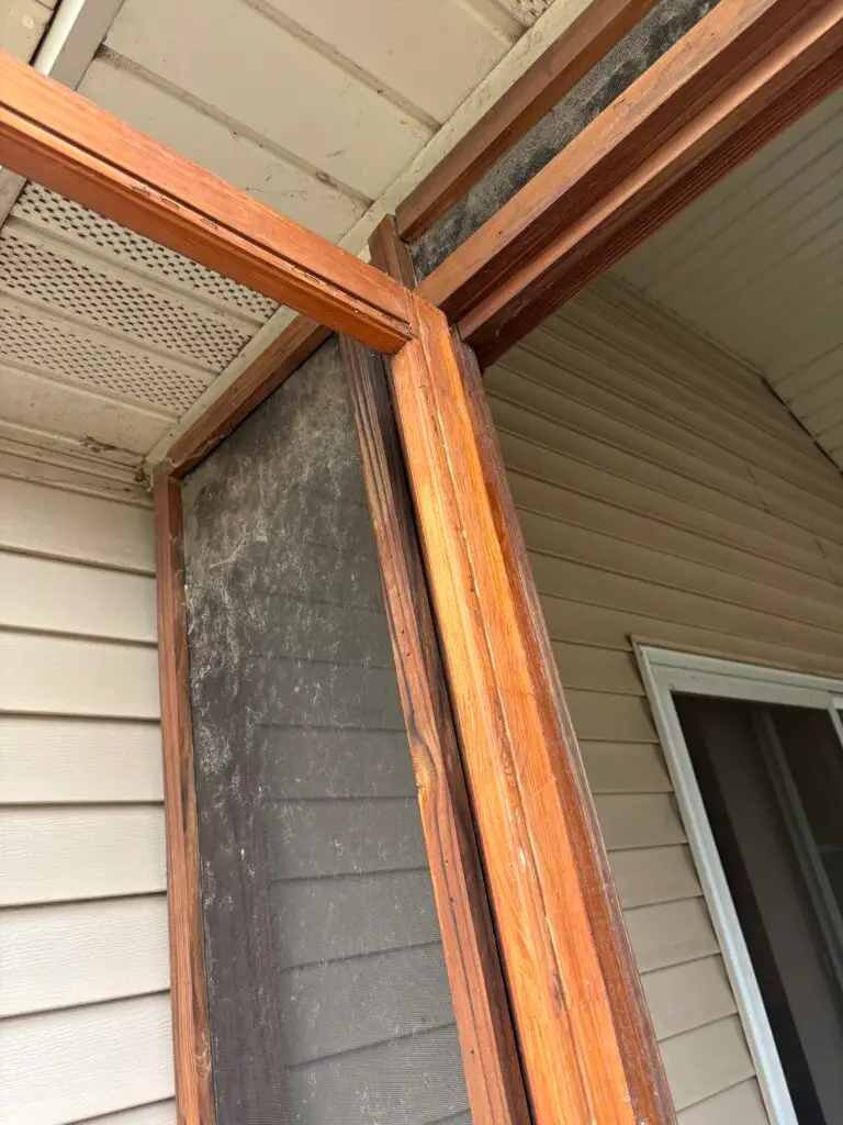 Screen Room and Door Screen Replacement in Bloomington — bloomington handyman